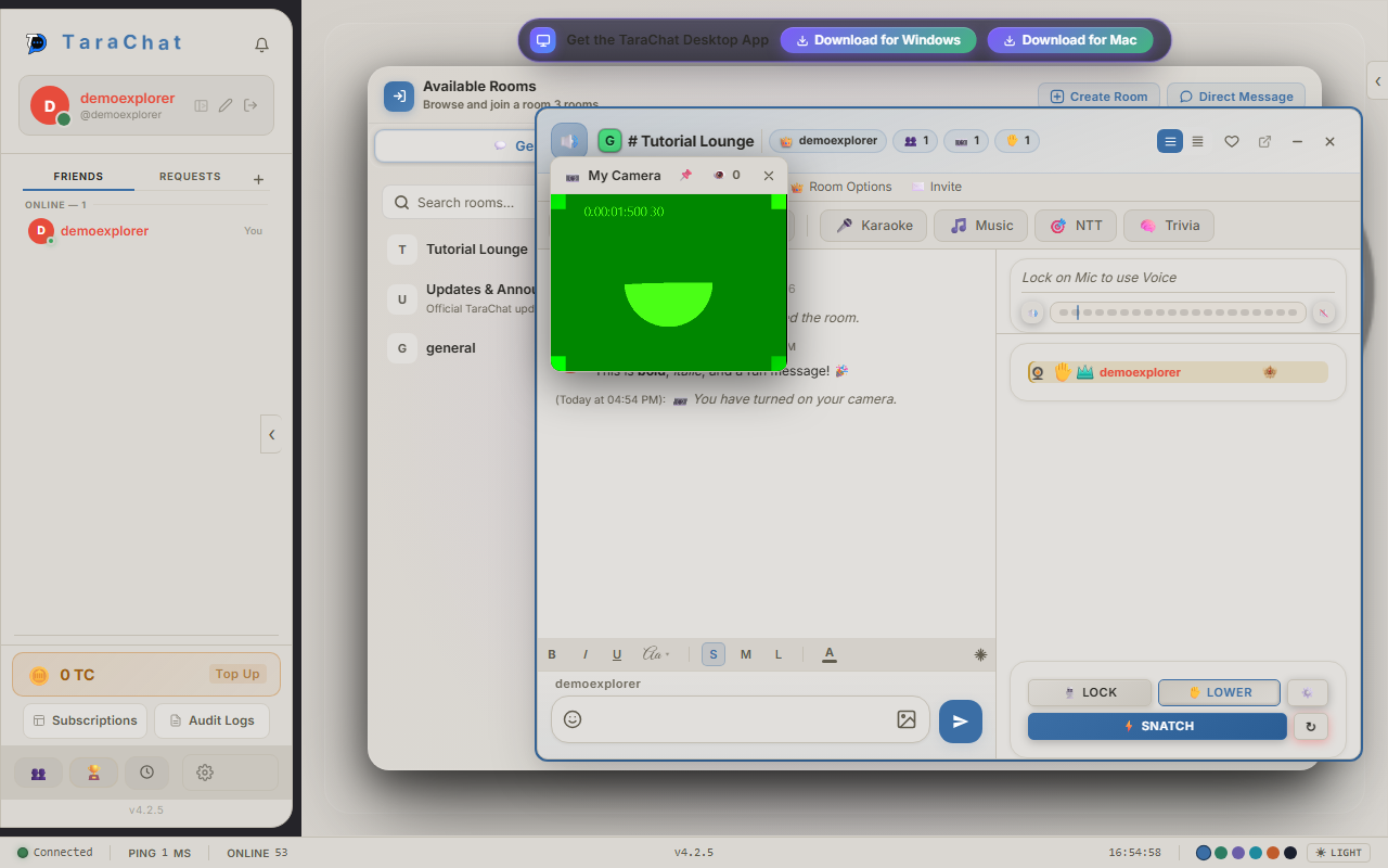 A camera preview window open in a room after clicking Toggle Camera